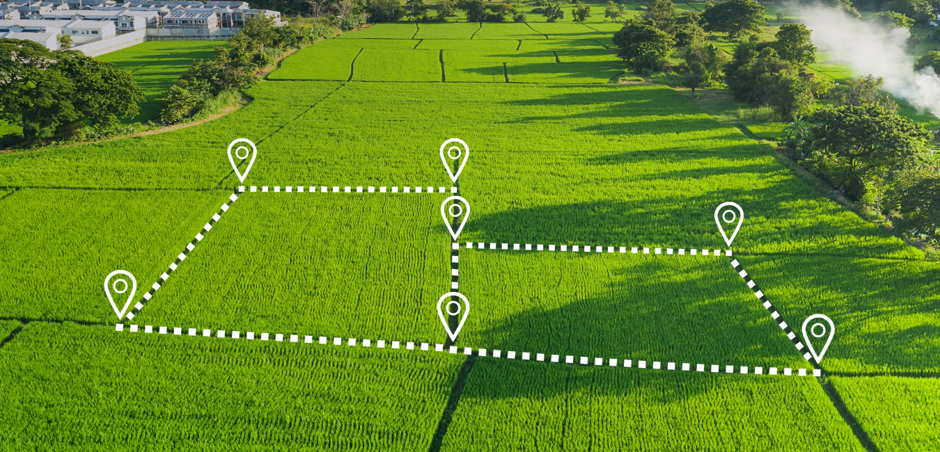 PORCHLYTE-MEMBERSHIP-Blog-Post-Photos-new-size-20212022-8