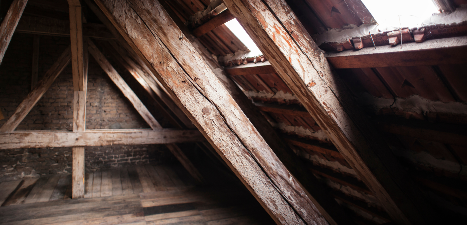 PORCHLYTE_MEMBERSHIP__-_Blog_Post_Photos_(new_size_20212022)_(16)