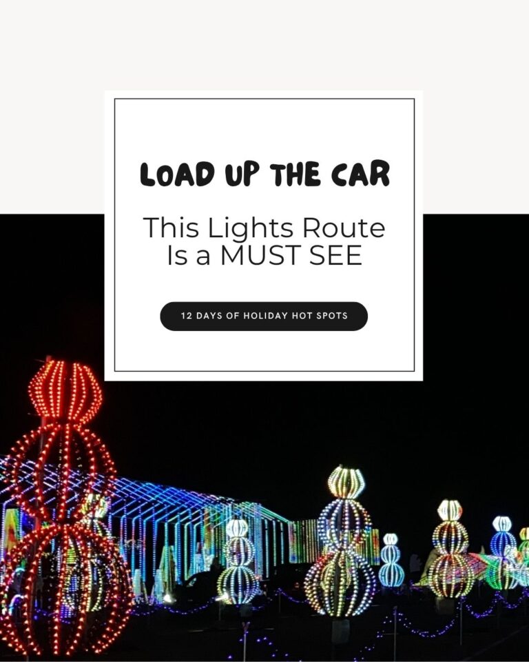 DAY EIGHT - Christmas Lights Tour (2)