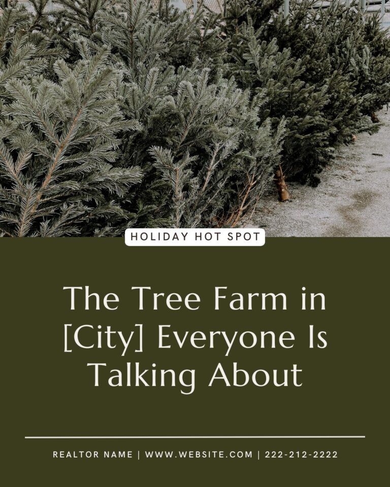 DAY ONE - Tree Farm